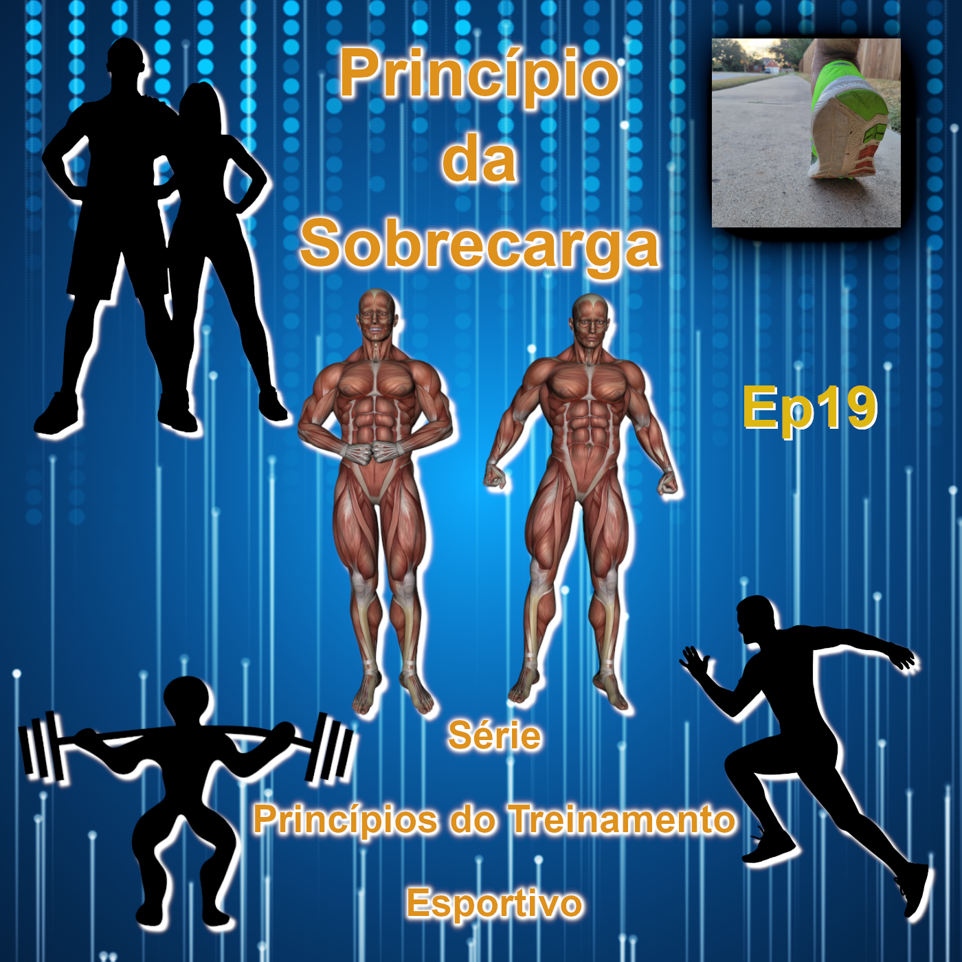 Princípio da Sobrecarga
